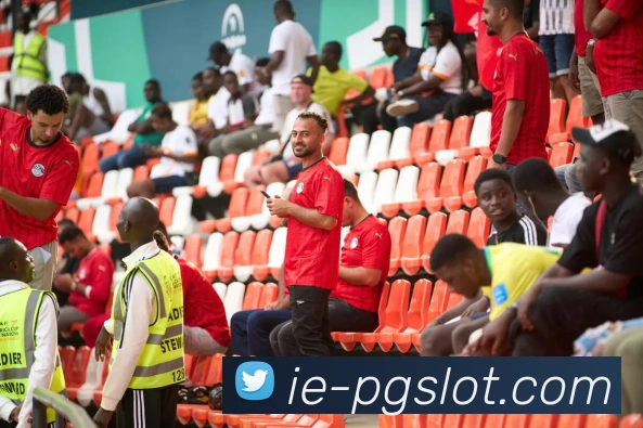 赏金女王官网平台生态图